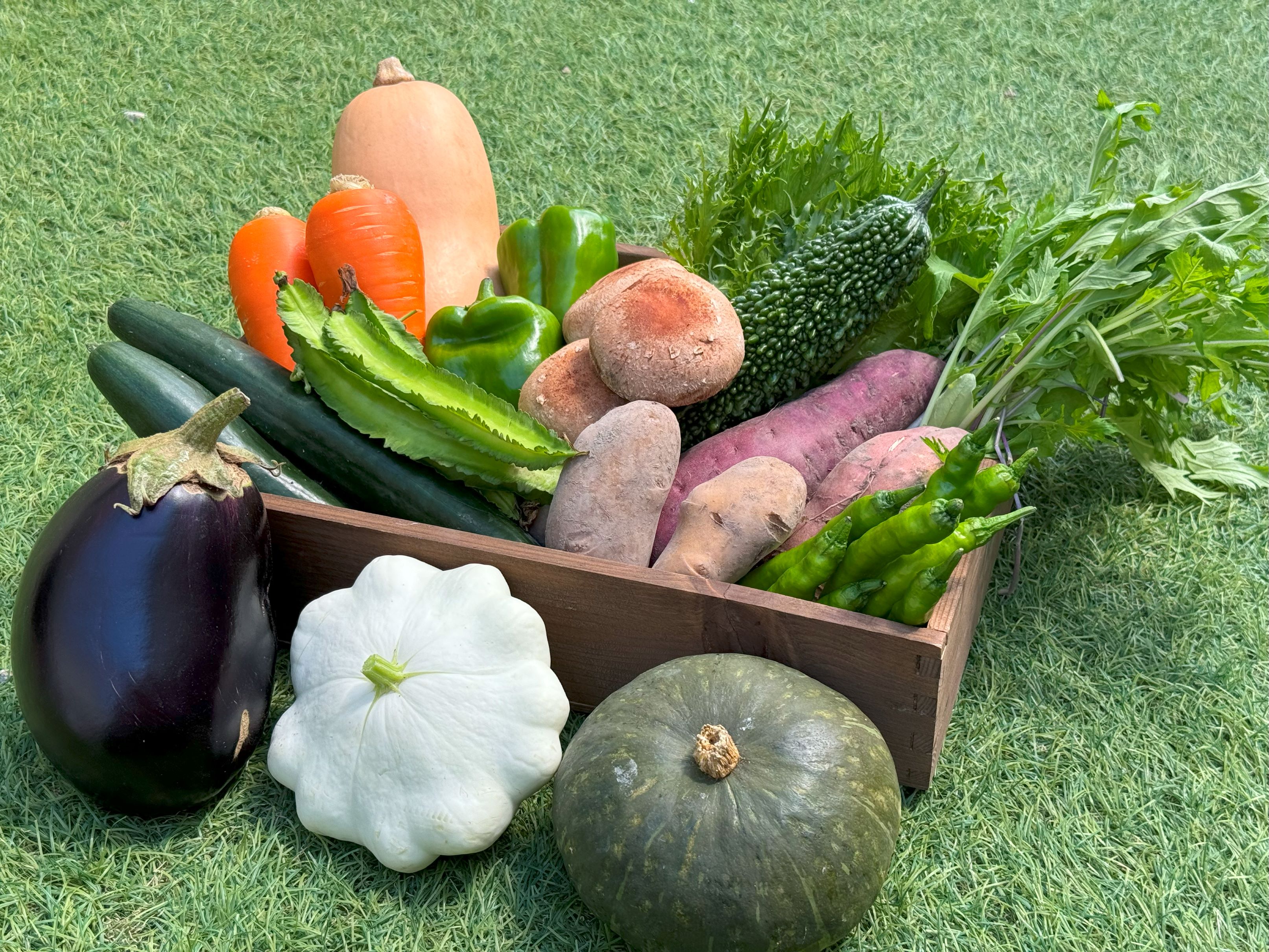 やさいのきらめきセット（プレミアム）　旬の野菜が10～13種類　100サイズ　農薬、化学肥料不使用(やさいのキラメキさん)のメインイメージ