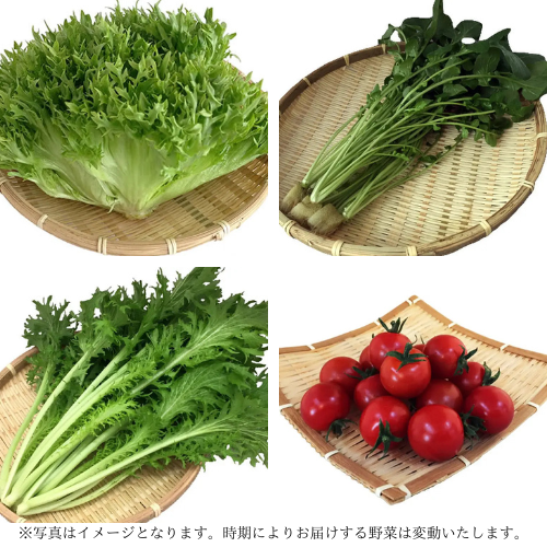 ご夫婦二人で食べきり量のサラダボウルが作れる詰め合わせセット (80サイズ )(農業生産法人　ビッグヤード株式会社さん)のメインイメージ