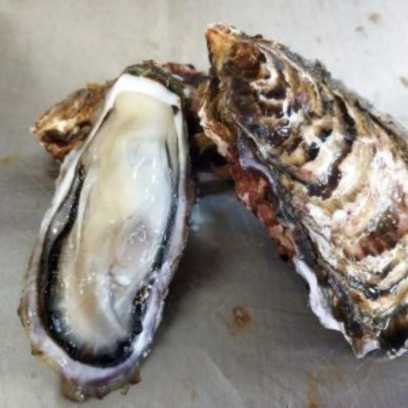 【バラ牡蠣】　生食用　７ｋｇ（45～55個くらい）(株式会社イワムラ水産さん)のメインイメージ