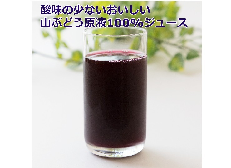 山ぶどう原液100%ジュース 500mlⅹ2本 糖度22度の極甘ジュース 山形産(sweetpool gardenさん)のメインイメージ
