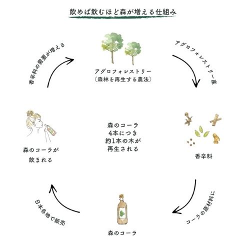 飲めば飲むほど森が増えるクラフトコーラ 「森のコーラ」 3本セット(elf ＜森のコーラ＞さん)のメインイメージ