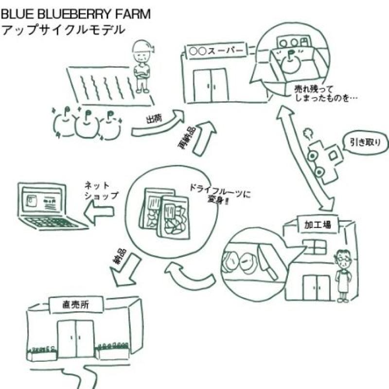 食品ロスをなくしたい！大地の恵みは、最後まで美味しく。農家が作る旬のドライフルーツミックス。 15~25ｇ(BLUE BLUEBERRY FARMさん)のメインイメージ