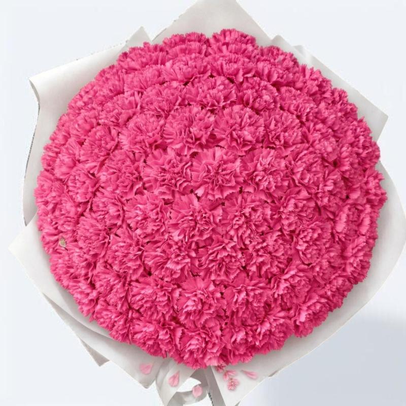 【期間限定】カーネーションブーケ　ローズピンク　L(100本)　母の日 ギフト　母の日におすすめ☆(ROSE＆SKY（ローズアンドスカイ）さん)のメインイメージ