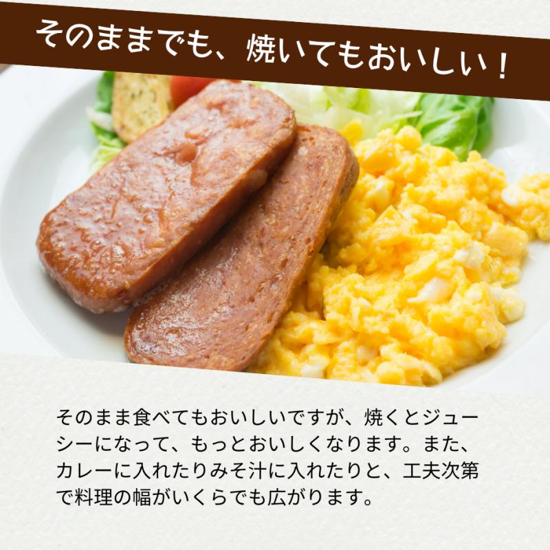 チューリップ ランチョンミート うす塩 340g×24缶(グリーンストアECショップさん)のメインイメージ