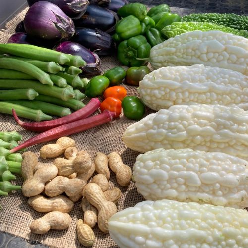 【少量サイズ】旬の野菜セット（送料無料）　朝穫れ旬の野菜6～7種類を少量ずつ　６０サイズ箱(とのわファームさん)のメインイメージ