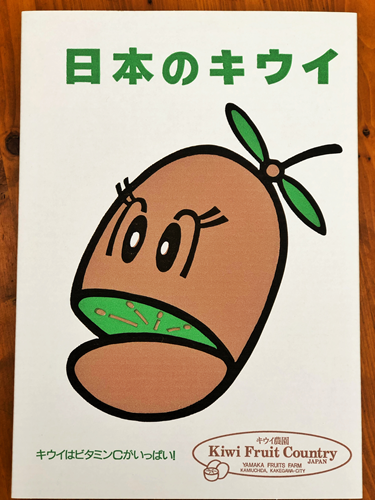 【今年のご予約販売始まりました♪】厳選した甘～いキウイを3種類詰め合わせ！スイートキウイセット【熨斗対応可】16個前後入り(LS)(キウイフルーツカントリーJapanさん)のメインイメージ