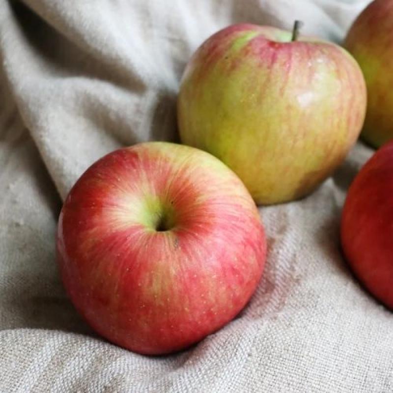 国産りんごと国産いちごのドライフルーツ 20ｇ(BLUE BLUEBERRY FARMさん)のメインイメージ