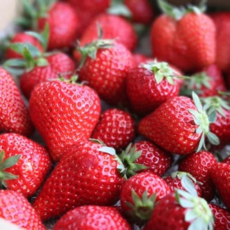 国産いちごのドライフルーツ【訳あり・レシピ用】 50ｇ(BLUE BLUEBERRY FARMさん)のメインイメージ