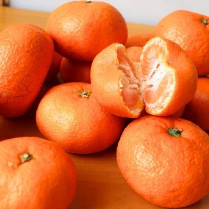 国産ミカンのドライフルーツ【訳あり・レシピ用】 30g(BLUE BLUEBERRY FARMさん)のメインイメージ