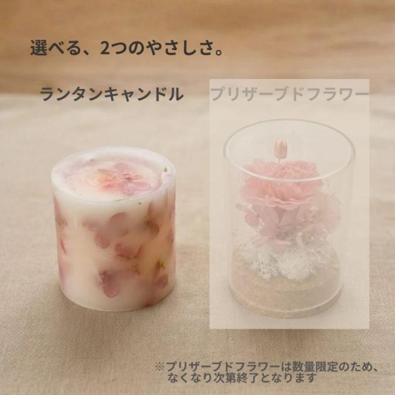 4月末まで500円OFF！【送料込】母の日に喜ばれる｜北海道産ベジラスク＆選べる癒しギフトセット(緑・ランタンキャンドル)　母の日におすすめ☆(やさいのおやつ　ブルーブロッサムさん)のメインイメージ