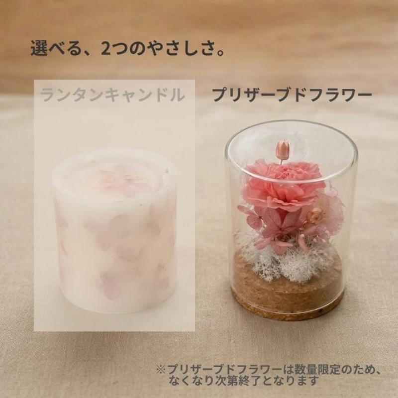 4月末まで500円OFF！【送料込】母の日に喜ばれる｜北海道産ベジラスク＆選べる癒しギフトセット(青・ブリザーブドフラワー)　母の日におすすめ☆(やさいのおやつ　ブルーブロッサムさん)のメインイメージ