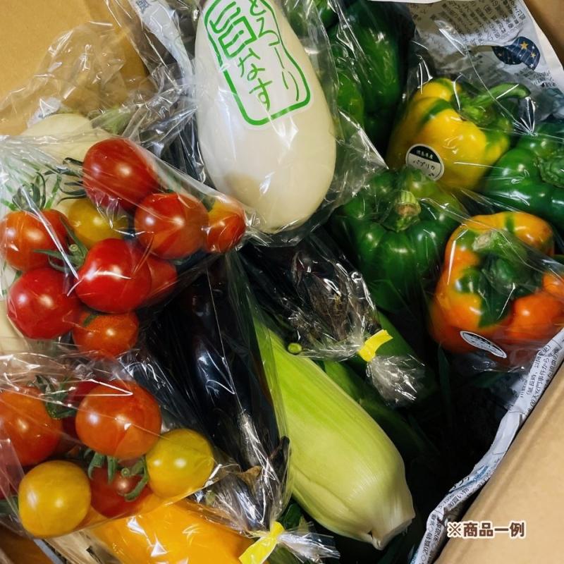 【濱くんちのお野菜】旬のお野菜セット　5～8種　約6kg～(濱くんちのお野菜さん)のメインイメージ
