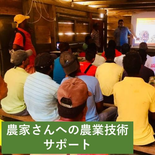 ノエルベルデ　ストロベリーホワイト　(¡Viva Ecuador！ -ビバ エクアドル-さん)のメインイメージ
