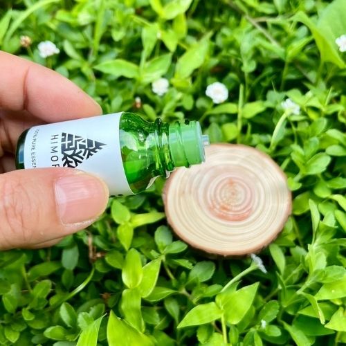 ひのここ3体とヒノキ精油の癒しアロマセット(木工房ゆうむさん)のメインイメージ