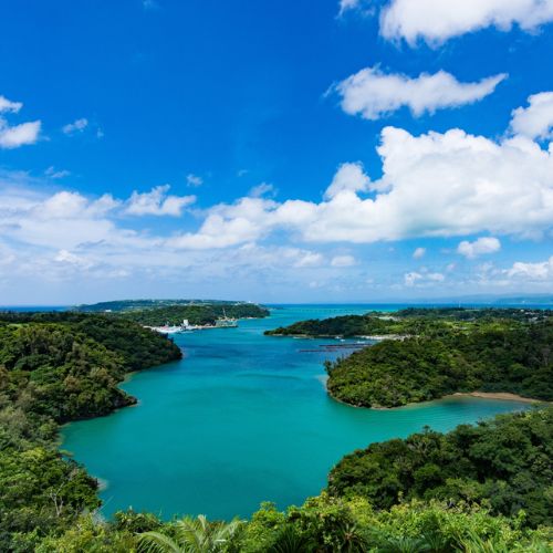 屋我地島の塩 50g （卓上タイプ）(沖縄ベルクさん)のメインイメージ