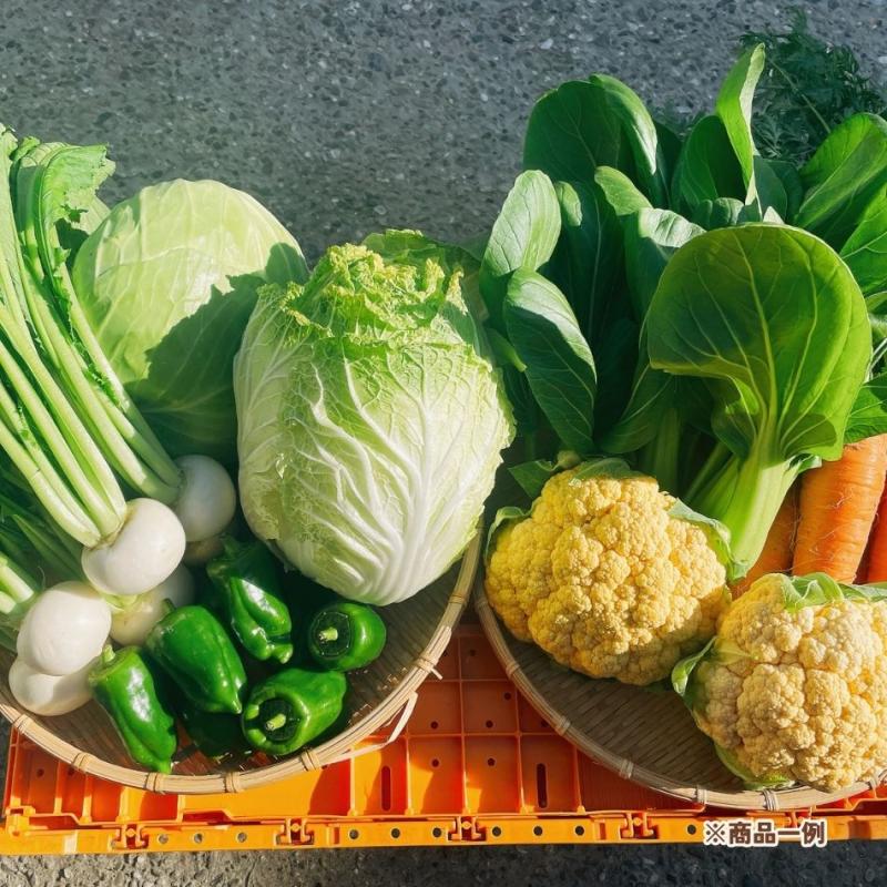 【濱くんちのお野菜】旬のお野菜セット　5～8種　約6kg～(濱くんちのお野菜さん)のメインイメージ