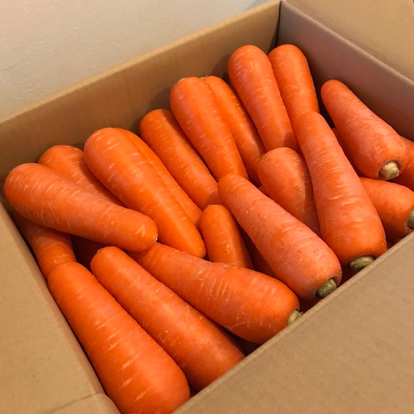 【濱くんちのお野菜】徳島県藍住町産春にんじん10kg(濱くんちのお野菜さん)のメインイメージ