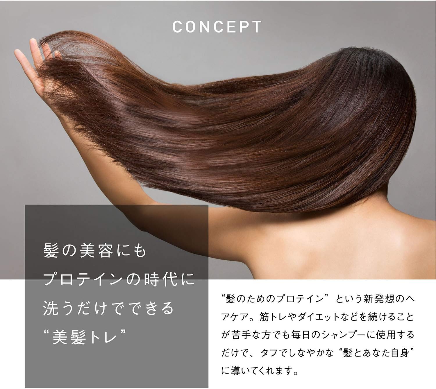 ヘアザプロテイン モイスト シャンプー 480ml シリコン処方 アミノ酸 髪 ダメージ補修 ヘアケア 正規品 コスメテックスローランド(アビトラ商店さん)のメインイメージ