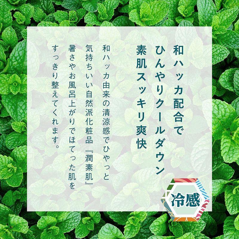 【2本】コスメテックスローランド 潤素肌 薬用和ハッカ 水ミスト 250mL×2本 化粧水(アビトラ商店さん)のメインイメージ