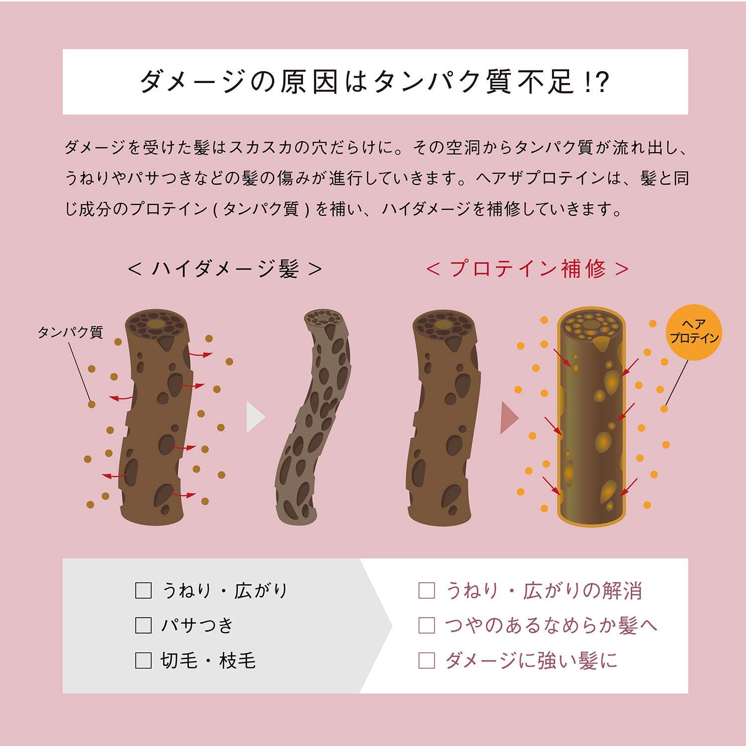 ヘアザプロテイン モイスト シャンプー 480ml シリコン処方 アミノ酸 髪 ダメージ補修 ヘアケア 正規品 コスメテックスローランド(アビトラ商店さん)のメインイメージ
