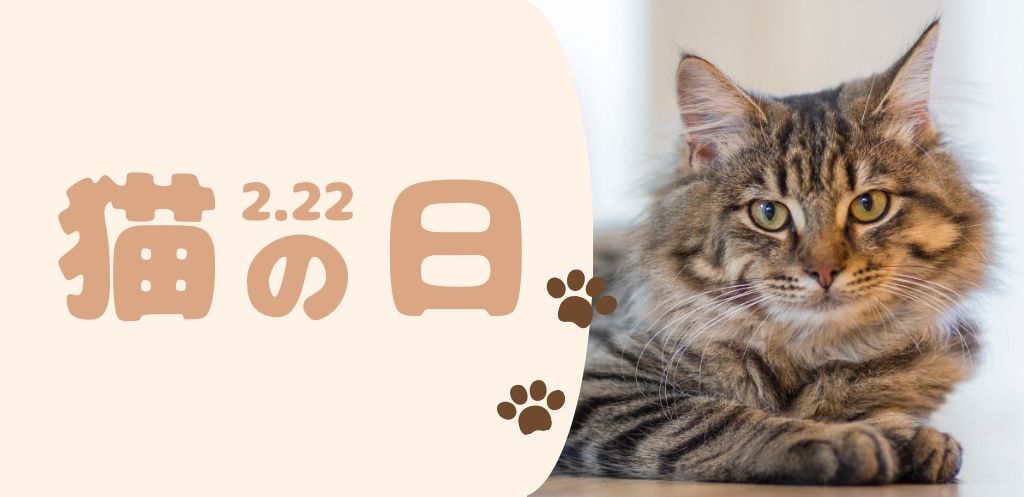 2月22日ねこの日