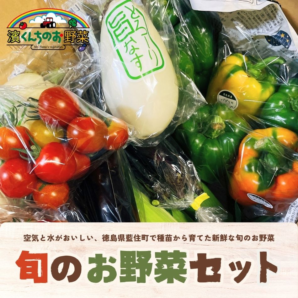 空気と水がおいしい、徳島県藍住町で種苗から育てた新鮮な旬のお野菜 旬のお野菜セット