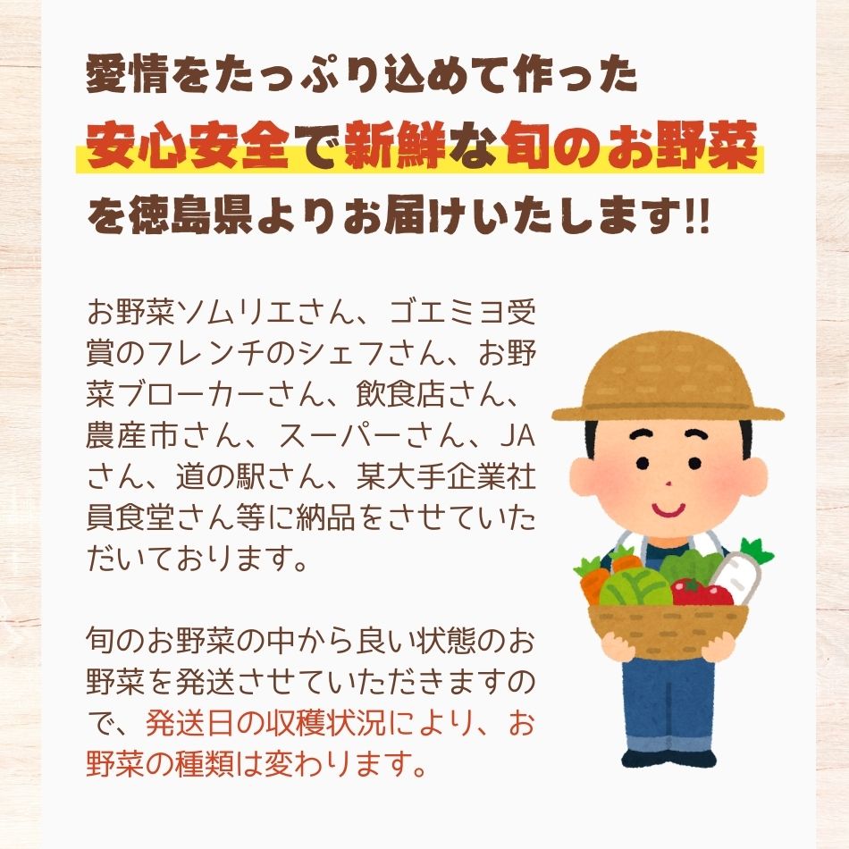 愛情をたっぷり込めて作った安心安全で新鮮な旬のお野菜を徳島県よりお届けいたします!!お野菜ソムリエさん、ゴエミヨ受賞のフレンチのシェフさん、お野菜ブローカーさん、飲食店さん、農産市さん、スーパーさん、JAさん、道の駅さん、某大手企業社員食堂さん等に納品をさせていただいております。旬のお野菜の中から良い状態のお野菜を発送させていただきますので、発送日の収穫状況により、お野菜の種類は変わります。
