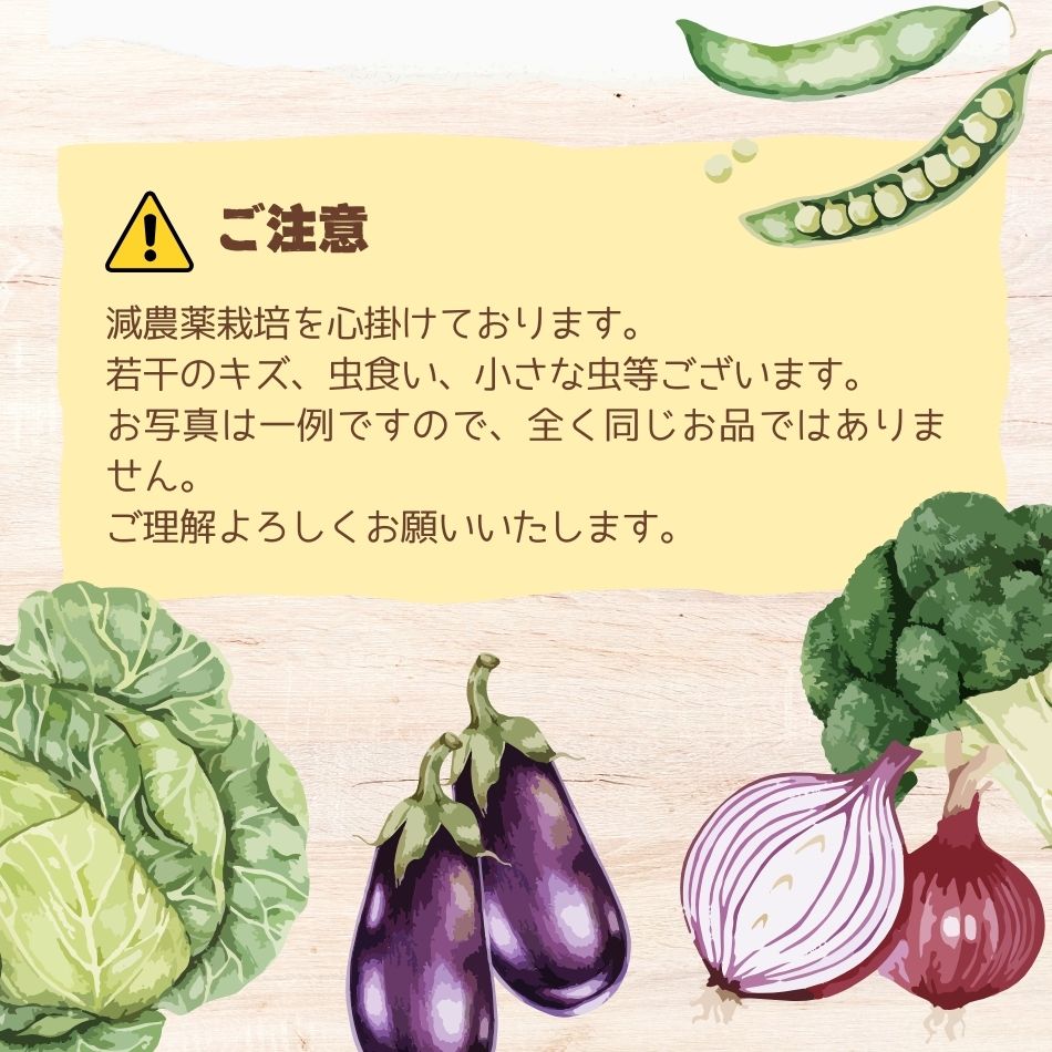 ご注意 減農薬栽培を心掛けております。若干のキズ、虫食い、小さな虫等ございます。お写真は一例ですので、全く同じお品ではありません。ご理解よろしくお願いいたします。