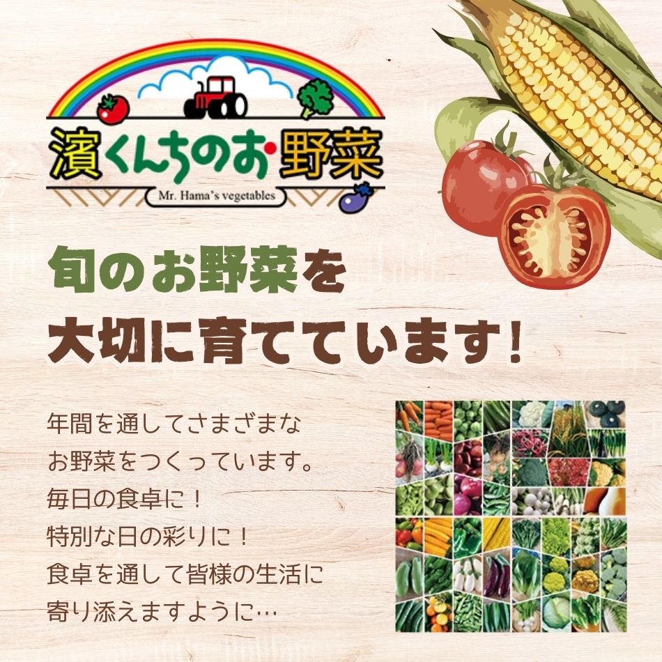 旬のお野菜を大切に育てています！年間を通してさまざまなお野菜をつくっています。毎日の食卓に！特別な日の彩りに！食卓を通して皆様の生活に寄り添えますように…