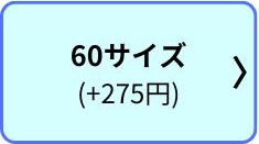 60サイズ(+275円)